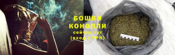 дживик Володарск
