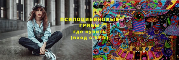 кокс Вяземский