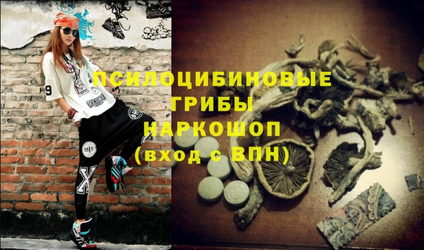 дживик Володарск