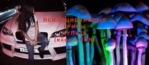 дурь Бородино