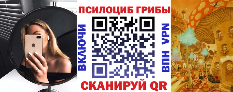 Псилоцибиновые грибы прущие грибы  Дрезна 